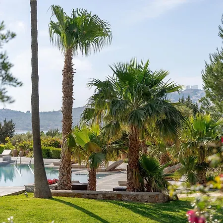 Cape Sounio, A Resort To Live-2